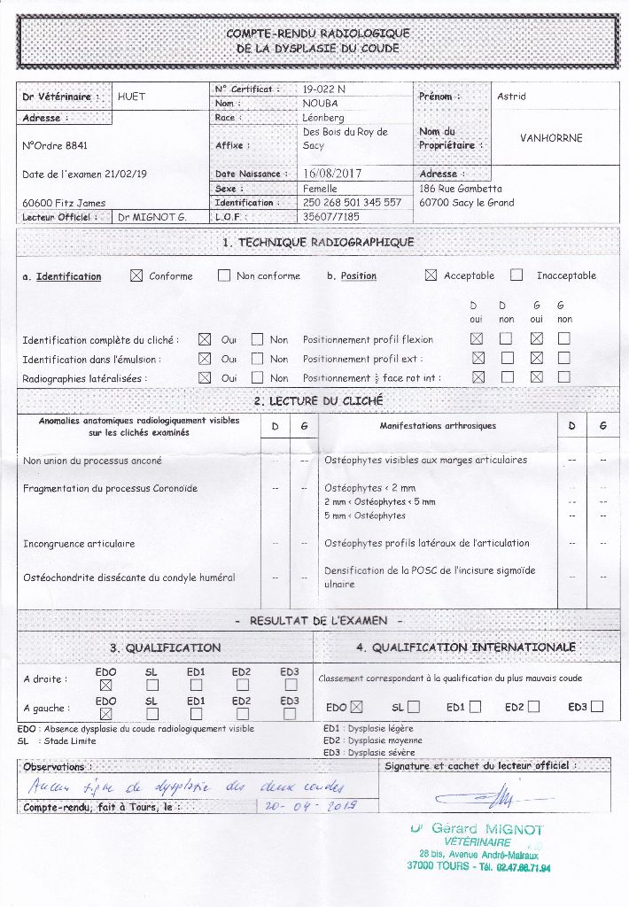 Nouba Des Bois Du Roy De Sacy