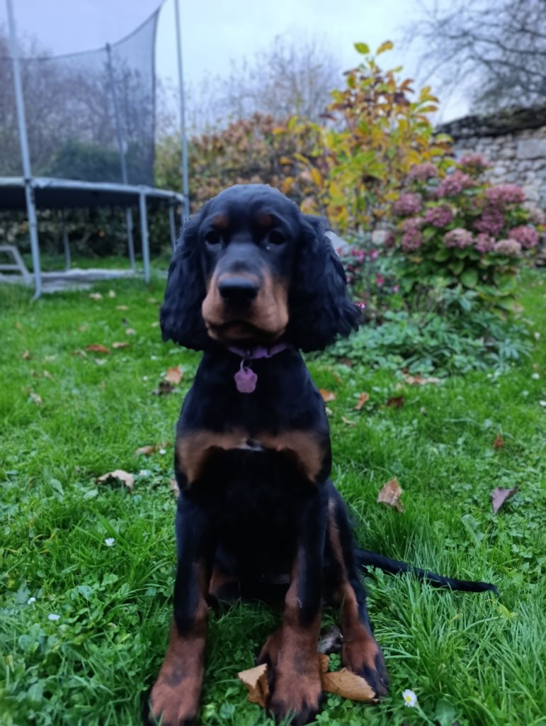 Amazing aglaé de cinq a sept